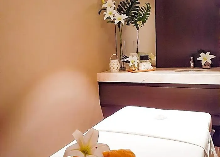 The Excelsior Pinas Отель 4*